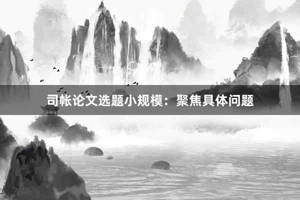 司帐论文选题小规模：聚焦具体问题