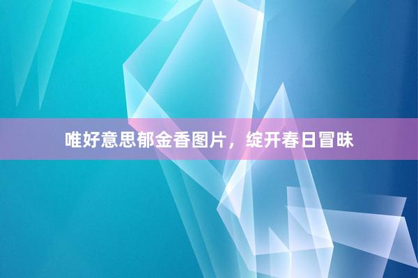 唯好意思郁金香图片，绽开春日冒昧