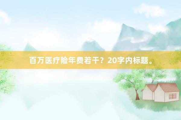 百万医疗险年费若干？20字内标题。