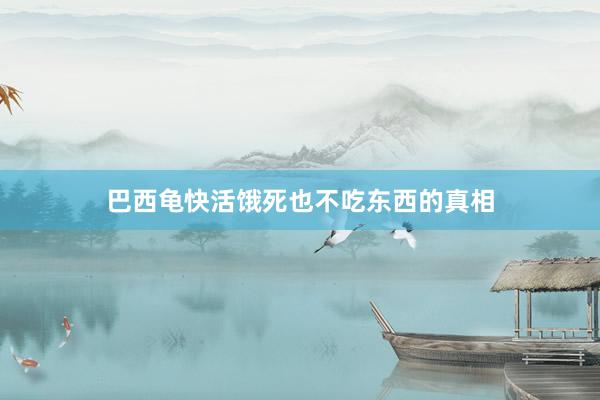 巴西龟快活饿死也不吃东西的真相