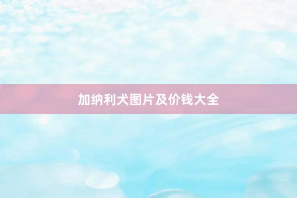 加纳利犬图片及价钱大全