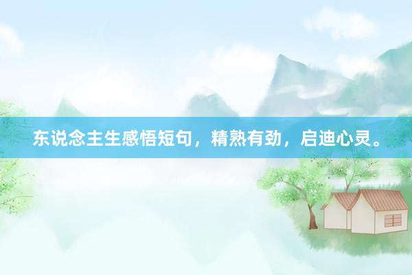 东说念主生感悟短句,精熟有劲,启迪心灵。
